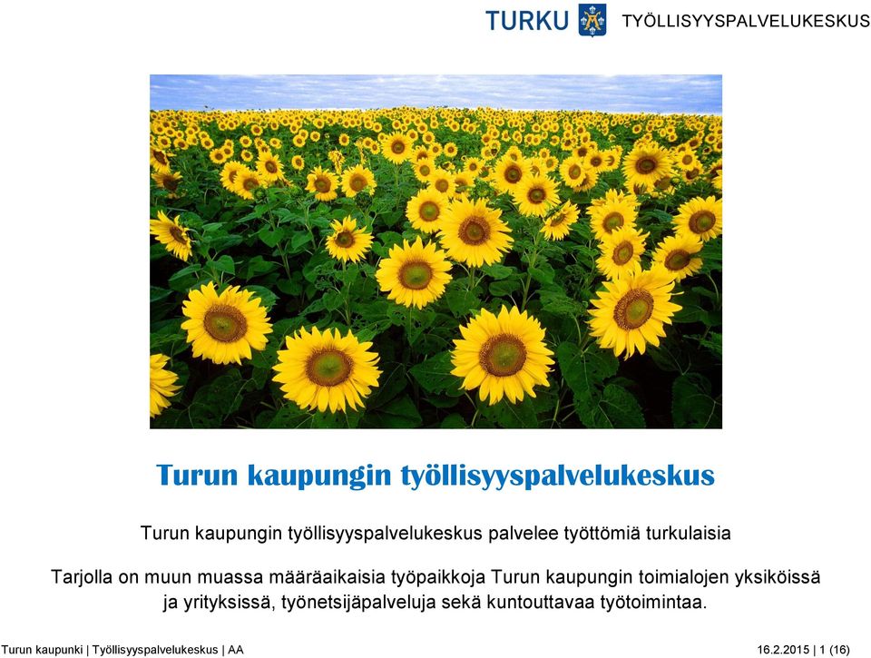 Turun kaupungin toimialojen yksiköissä ja yrityksissä, työnetsijäpalveluja sekä
