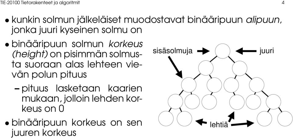 on pisimmän solmusta suoraan alas lehteen vievän polun pituus pituus lasketaan kaarien