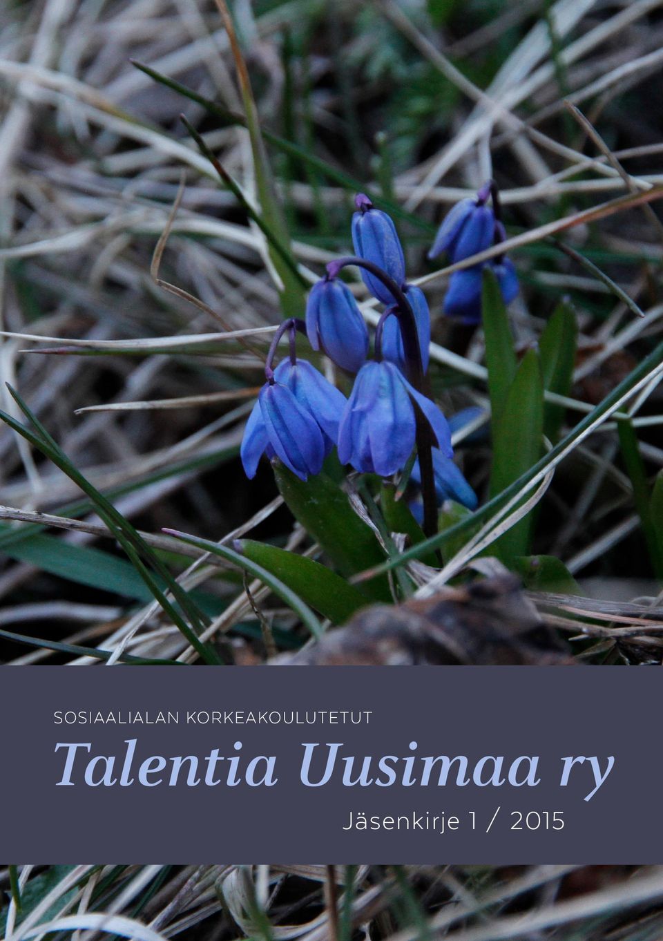 Talentia Uusimaa ry