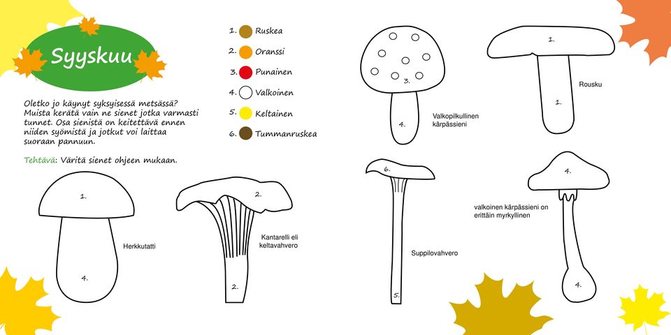 uskea Oranssi Punainen Valkoinen Keltainen Tummanruskea Valkopilkullinen kärpässieni 1.
