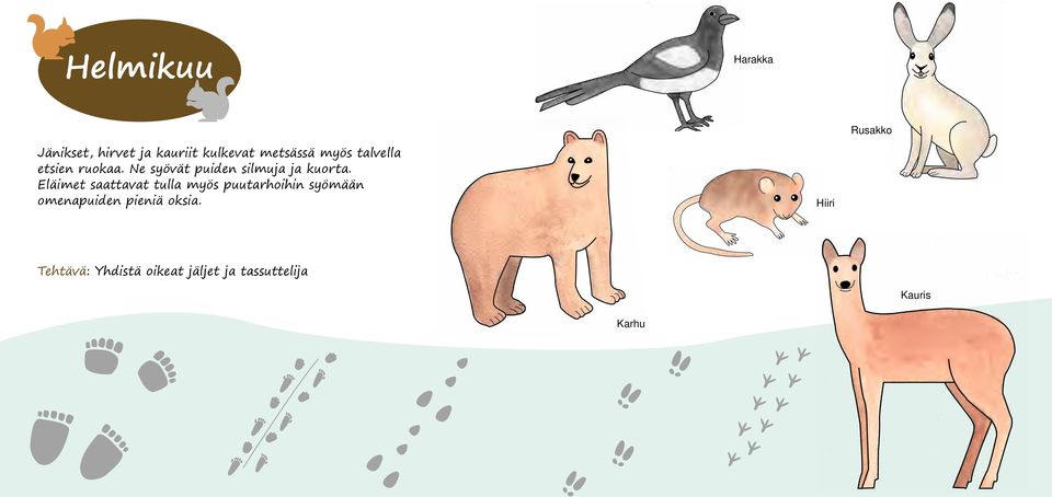 Ne syövät puiden silmuja ja kuorta.