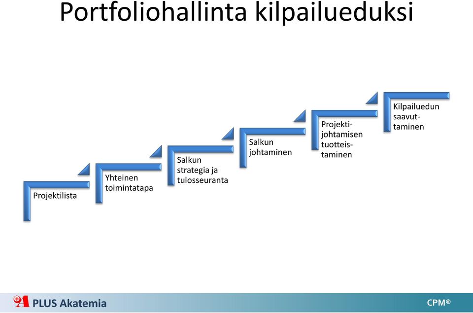 strategia ja tulosseuranta Salkun johtaminen