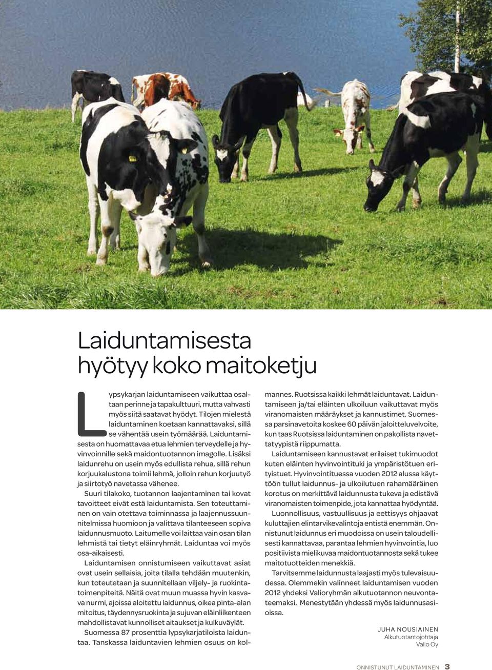 Lisäksi laidunrehu on usein myös edullista rehua, sillä rehun korjuukalustona toimii lehmä, jolloin rehun korjuutyö ja siirtotyö navetassa vähenee.