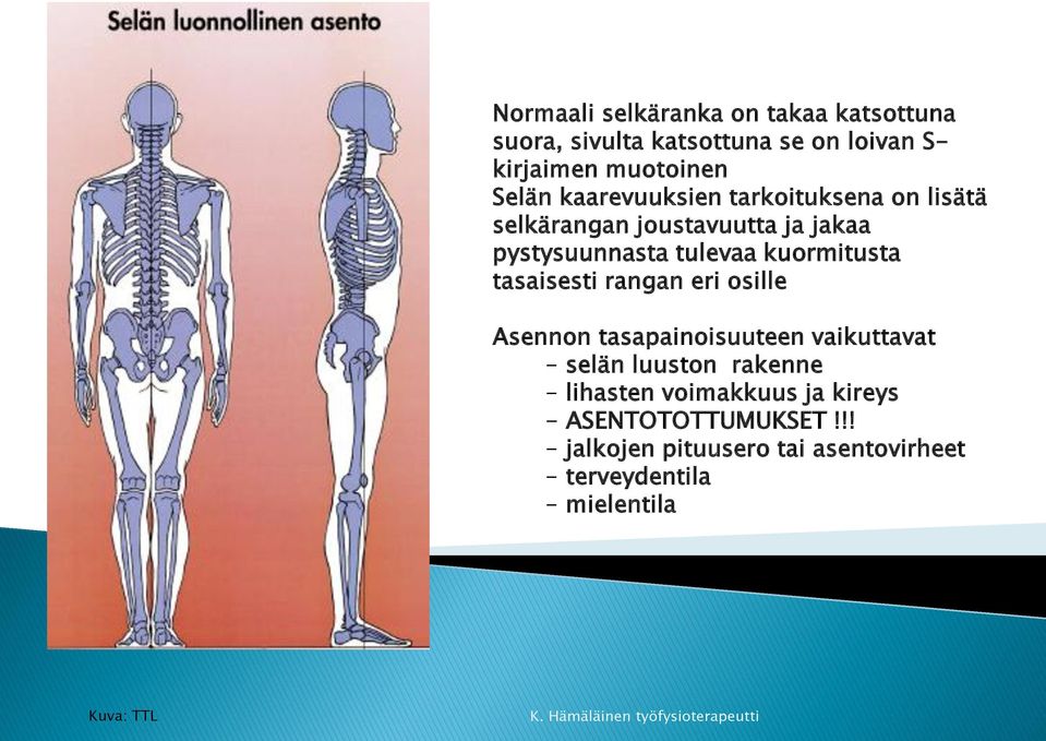 tasaisesti rangan eri osille Asennon tasapainoisuuteen vaikuttavat - selän luuston rakenne - lihasten