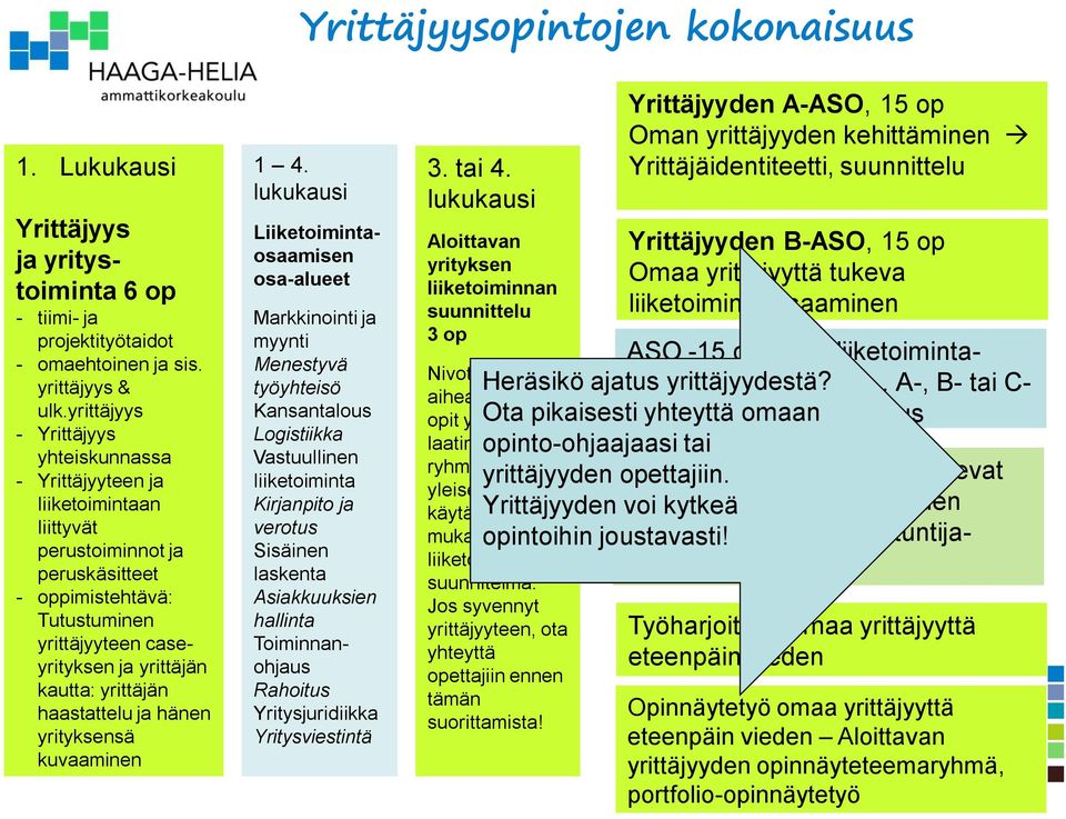 yrittäjän haastattelu ja hänen yrityksensä kuvaaminen 1 4.