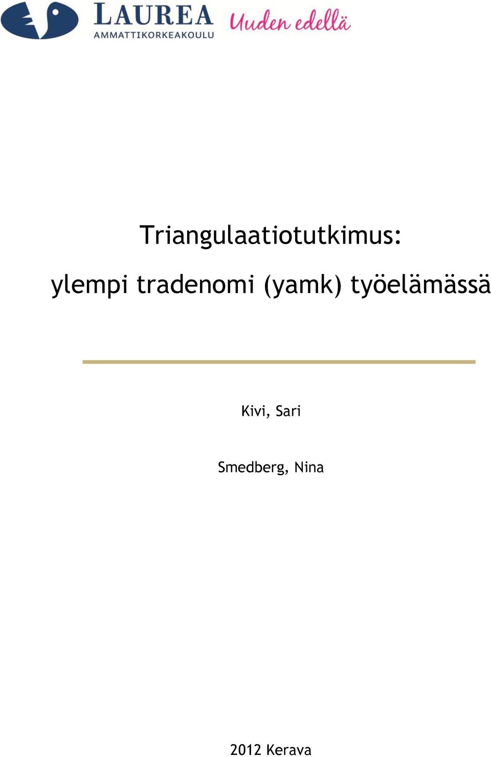 työelämässä Kivi, Sari