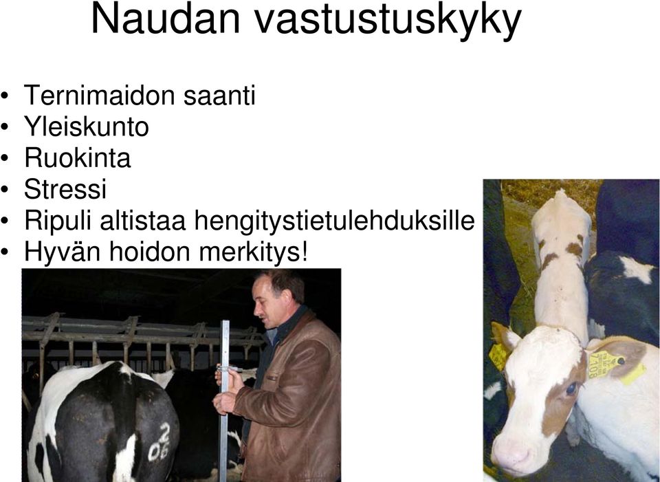 Stressi Ripuli altistaa