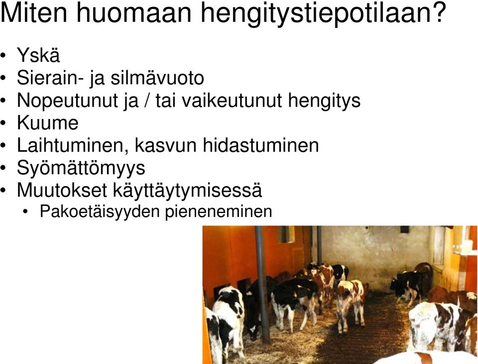 vaikeutunut hengitys Kuume Laihtuminen, kasvun