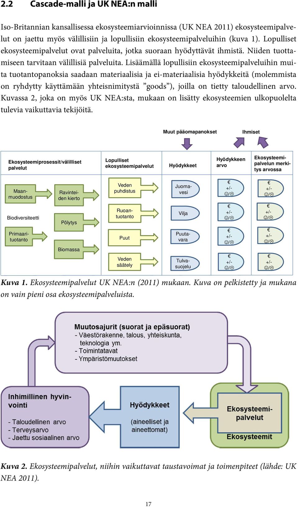 Lisäämällä lopullisiin ekosysteemipalveluihin muita tuotantopanoksia saadaan materiaalisia ja ei-materiaalisia hyödykkeitä (molemmista on ryhdytty käyttämään yhteisnimitystä goods ), joilla on tietty