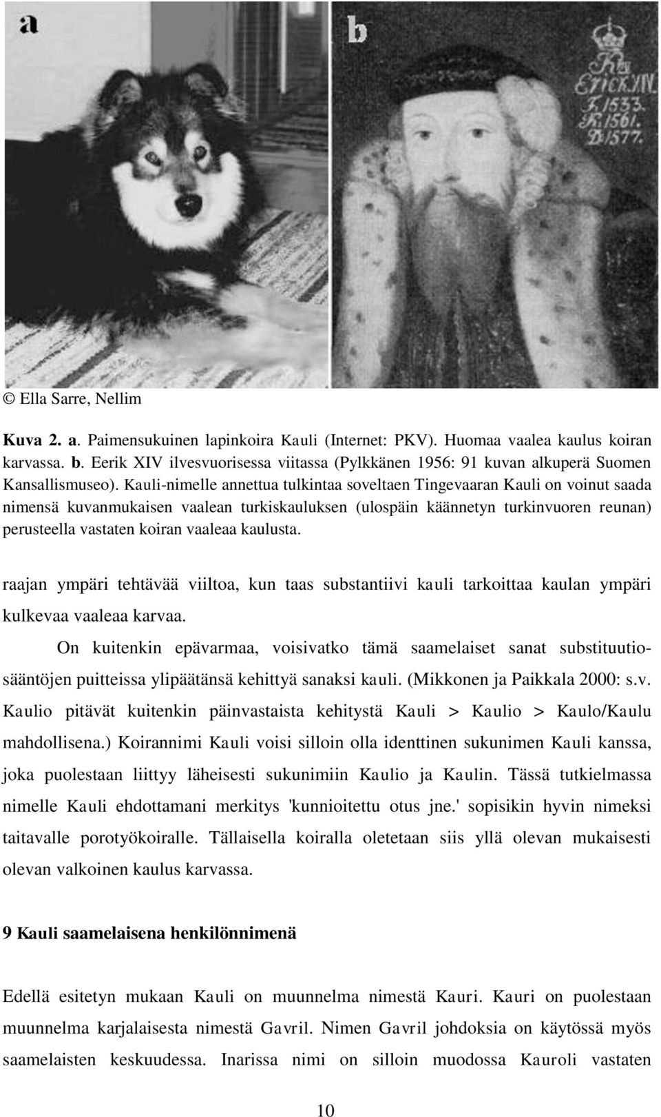 Kauli-nimelle annettua tulkintaa soveltaen Tingevaaran Kauli on voinut saada nimensä kuvanmukaisen vaalean turkiskauluksen (ulospäin käännetyn turkinvuoren reunan) perusteella vastaten koiran vaaleaa