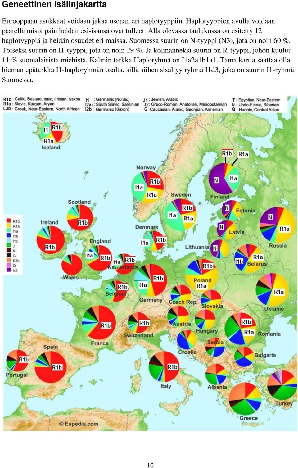 Alla olevassa taulukossa on esitetty 12 haplotyyppiä ja heidän osuudet eri maissa. Suomessa suurin on N-tyyppi (N3), jota on noin 60 %.