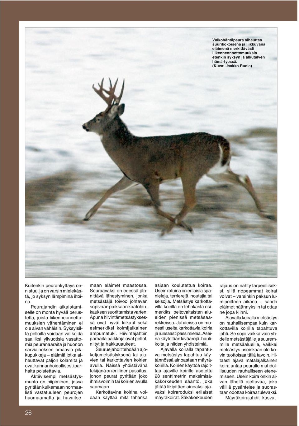 Peurajahdin aikaistamiselle on monta hyvää perustetta, joista liikenneonnettomuuksien vähentäminen ei ole aivan vähäisin.