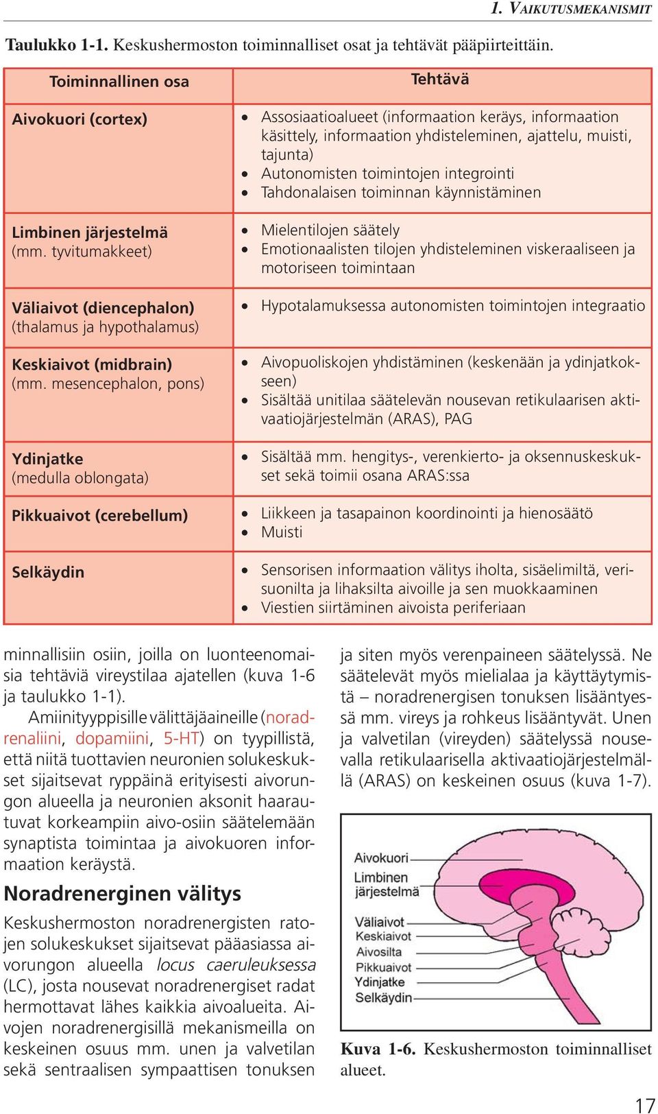 mesencephalon, pons) Ydinjatke (medulla oblongata) Pikkuaivot (cerebellum) Selkäydin Tehtävä Assosiaatioalueet (informaation keräys, informaation käsittely, informaation yhdisteleminen, ajattelu,