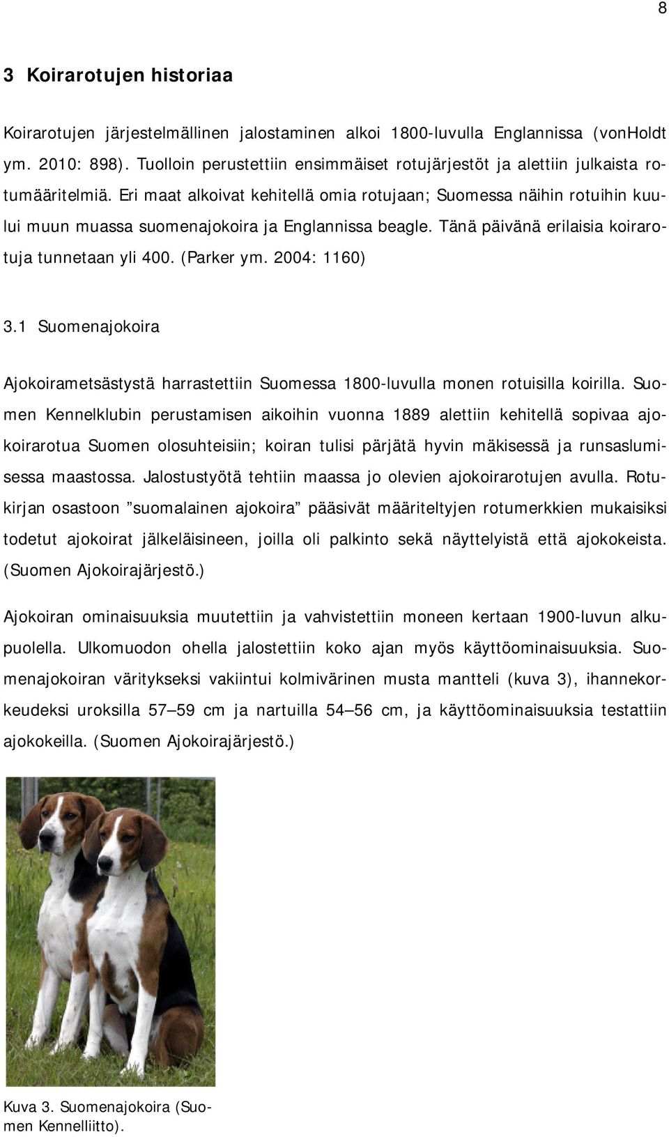 Eri maat alkoivat kehitellä omia rotujaan; Suomessa näihin rotuihin kuului muun muassa suomenajokoira ja Englannissa beagle. Tänä päivänä erilaisia koirarotuja tunnetaan yli 400. (Parker ym.
