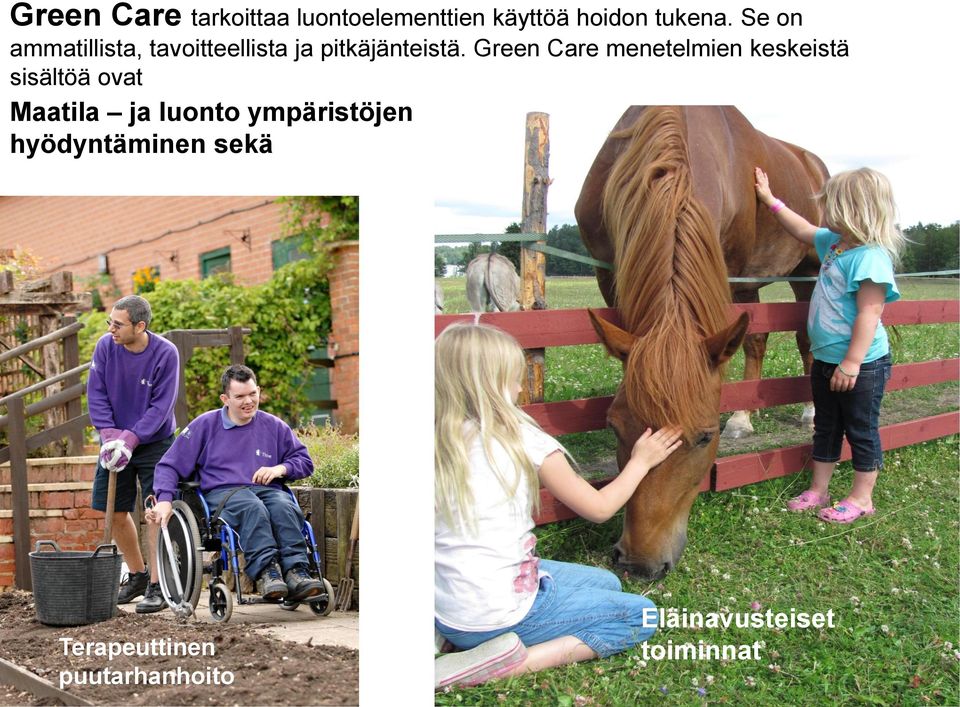 Green Care menetelmien keskeistä sisältöä ovat Maatila ja luonto