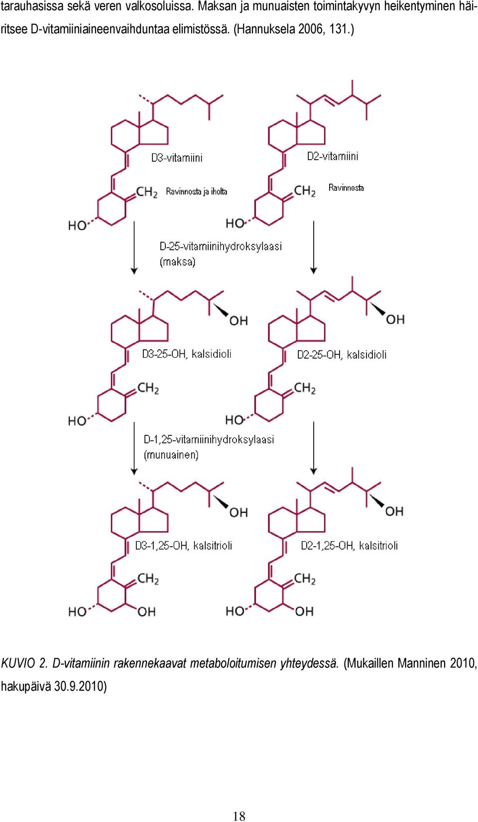 D-vitamiiniaineenvaihduntaa elimistössä. (Hannuksela 2006, 131.