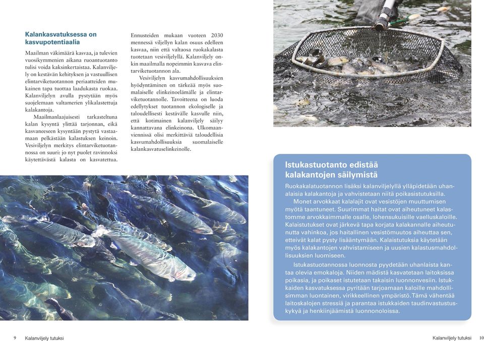 Kalanviljelyn avulla pystytään myös suojelemaan valtamerien ylikalastettuja kalakantoja.