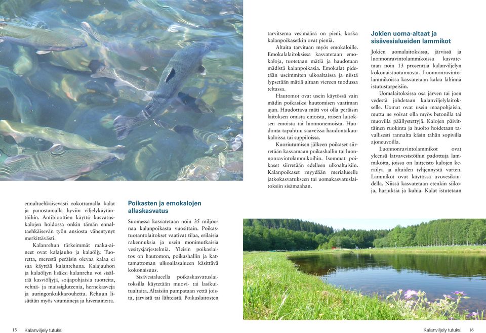 Haudottava mäti voi olla peräisin laitoksen omista emoista, toisen laitoksen emoista tai luonnonemoista. Haudonta tapahtuu saaveissa haudontakaukaloissa tai suppiloissa.