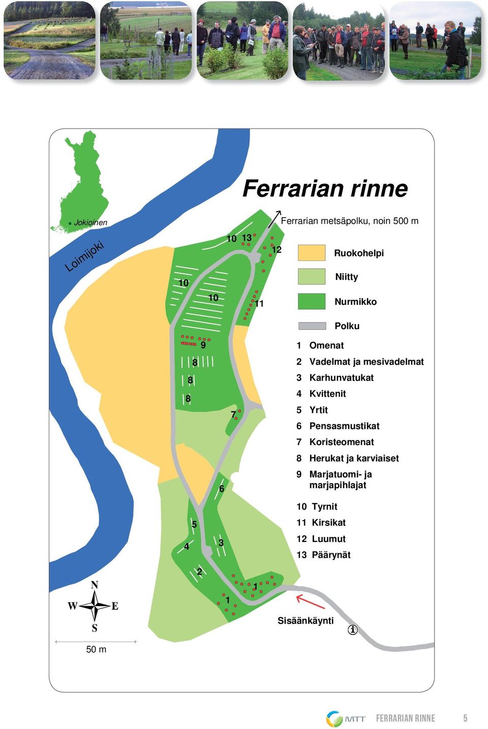 4 Kvittenit 5 Yrtit 6 Pensasmustikat 7 Koristeomenat 8 Herukat ja karviaiset 6 9 Marjatuomi- ja