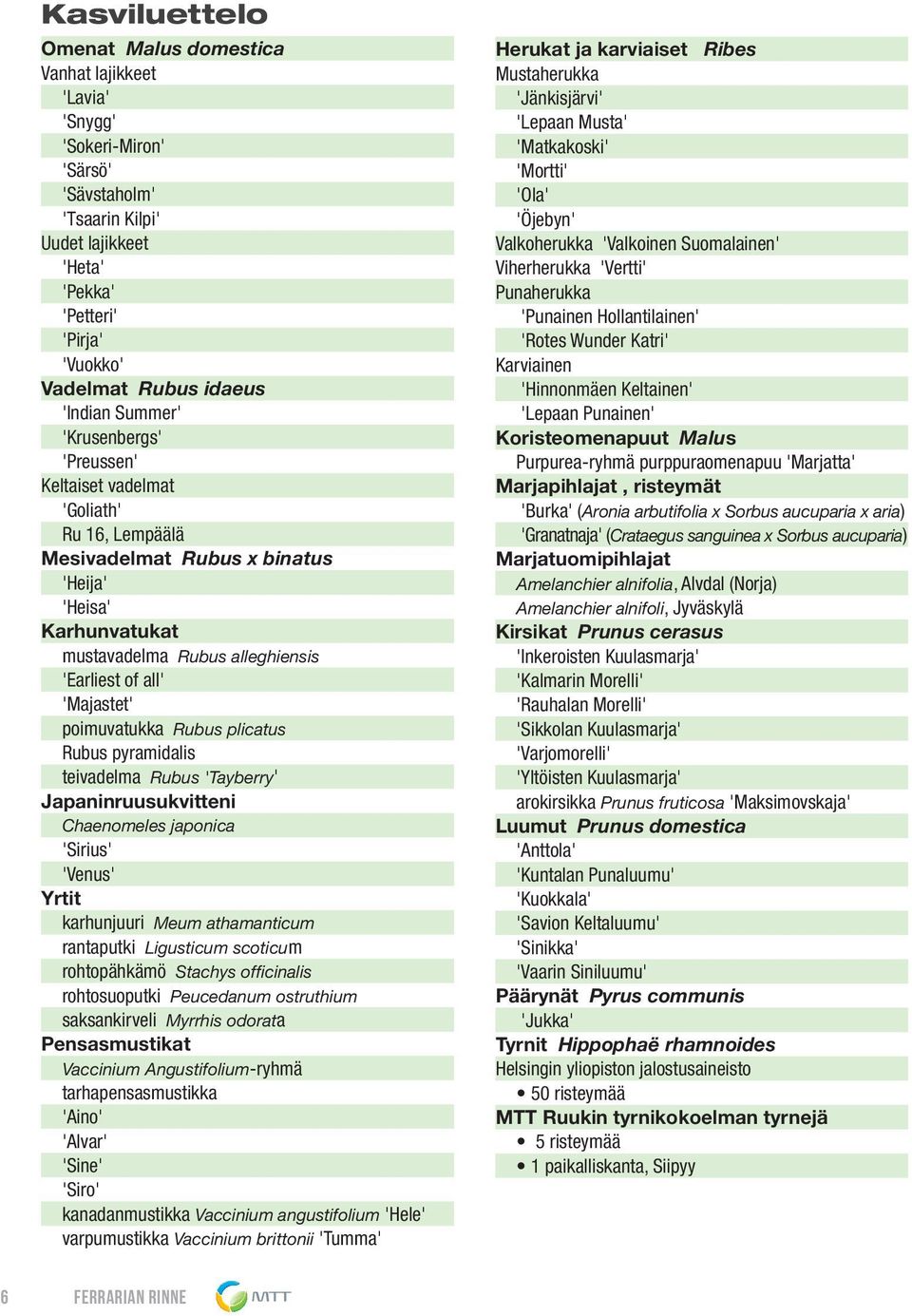 all' 'Majastet' poimuvatukka Rubus plicatus Rubus pyramidalis teivadelma Rubus 'Tayberry' Japaninruusukvitteni Chaenomeles japonica 'Sirius' 'Venus' Yrtit karhunjuuri Meum athamanticum rantaputki
