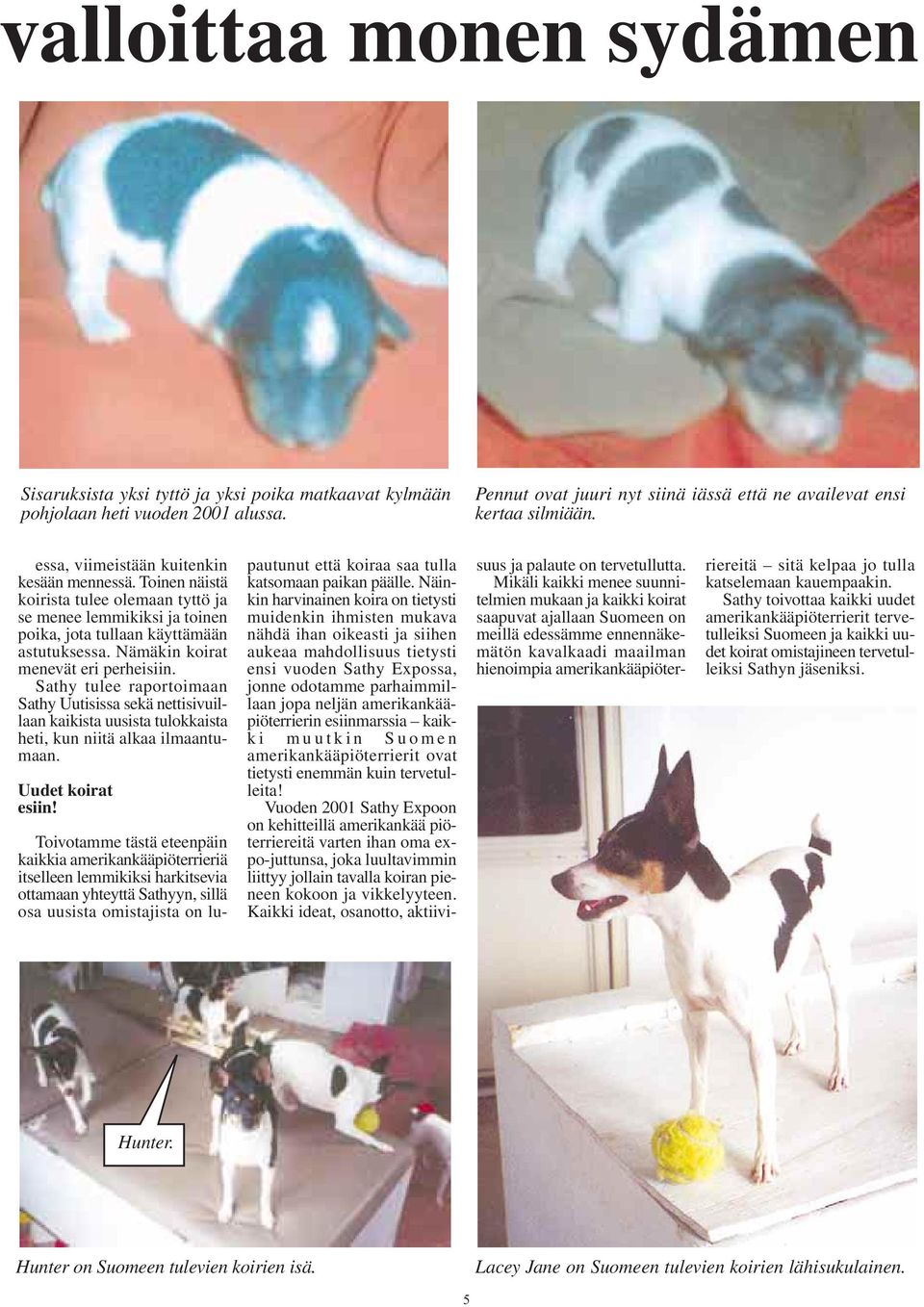 Nämäkin koirat menevät eri perheisiin. Sathy tulee raportoimaan Sathy Uutisissa sekä nettisivuillaan kaikista uusista tulokkaista heti, kun niitä alkaa ilmaantumaan. Uudet koirat esiin!