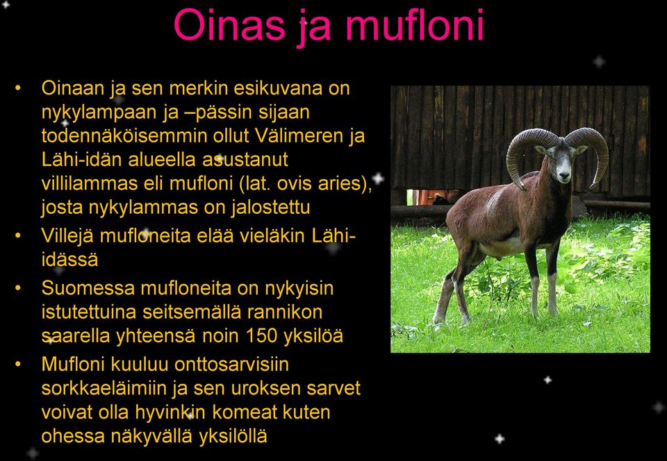 ovis aries), josta nykylammas on jalostettu Villejä mufloneita elää vieläkin Lähiidässä Suomessa mufloneita on nykyisin