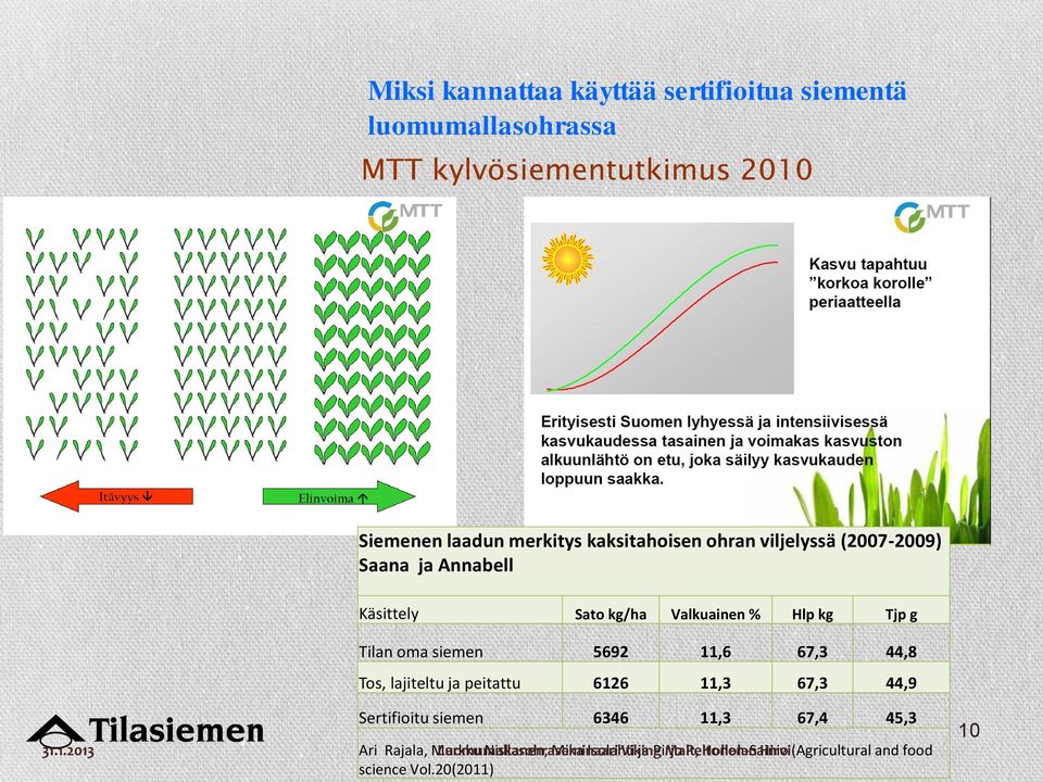 11,6 67,3 44,8 Tos, lajiteltu ja peitattu 6126 11,3 67,3 44,9 Sertifioitu siemen 6346 11,3 67,4 45,3 Ari Rajala, Markku