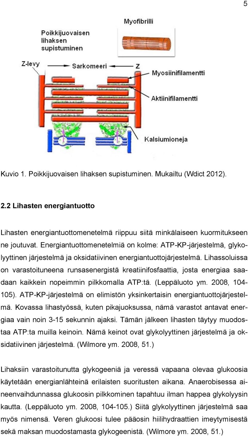 Lihassoluissa on varastoituneena runsasenergistä kreatiinifosfaattia, josta energiaa saadaan kaikkein nopeimmin pilkkomalla ATP:tä. (Leppäluoto ym. 2008, 104-105).