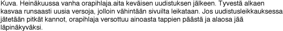 sivuilta leikataan.
