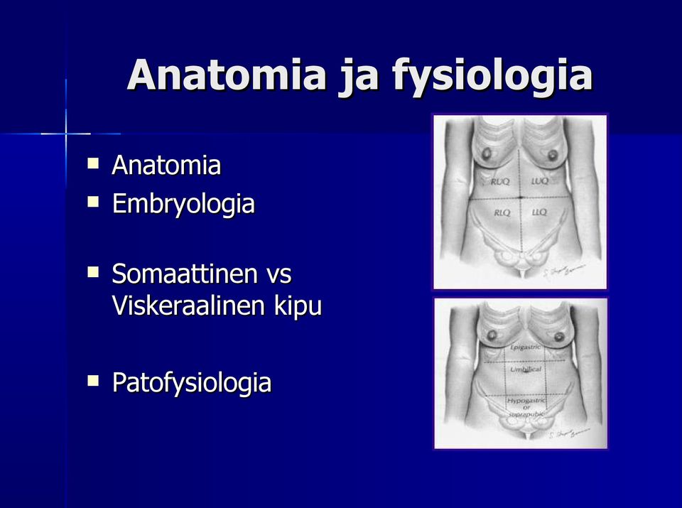 Somaattinen vs