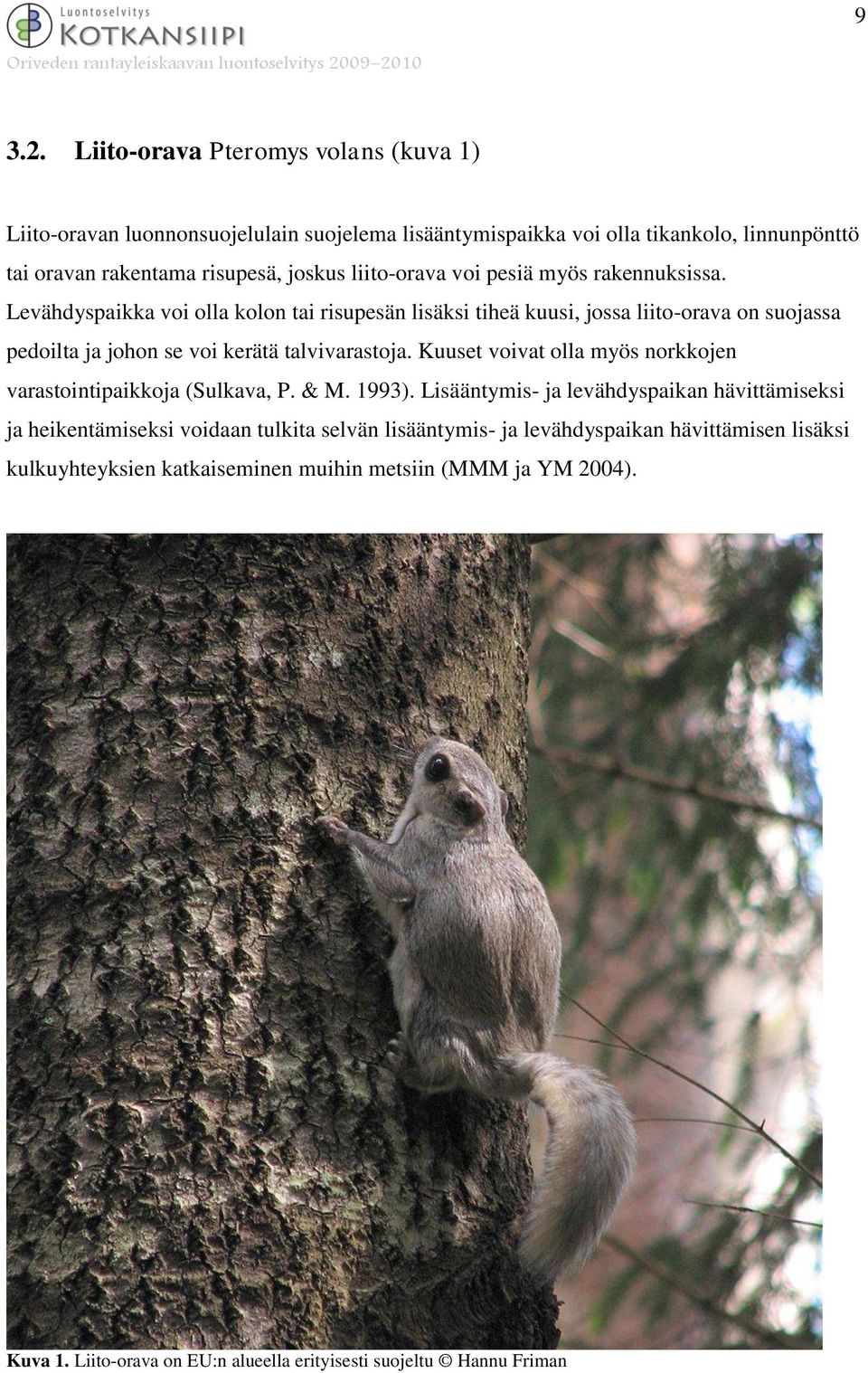 liito-orava voi pesiä myös rakennuksissa.