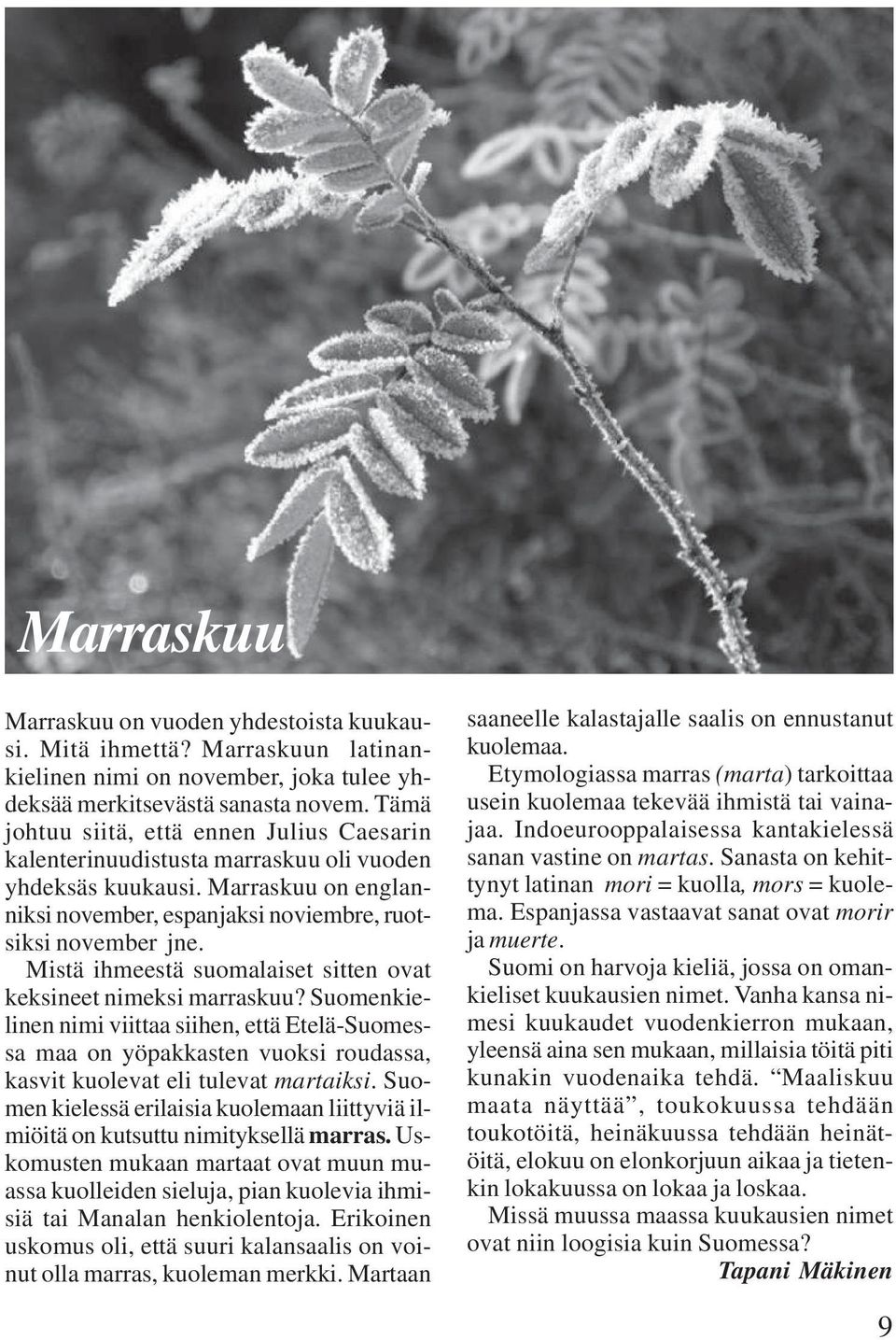 Mistä ihmeestä suomalaiset sitten ovat keksineet nimeksi marraskuu? Suomenkielinen nimi viittaa siihen, että Etelä-Suomessa maa on yöpakkasten vuoksi roudassa, kasvit kuolevat eli tulevat martaiksi.