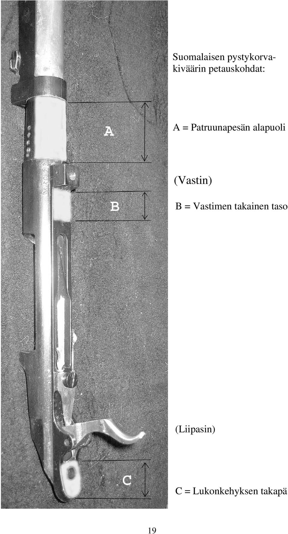 alapuoli (Vastin) B = Vastimen