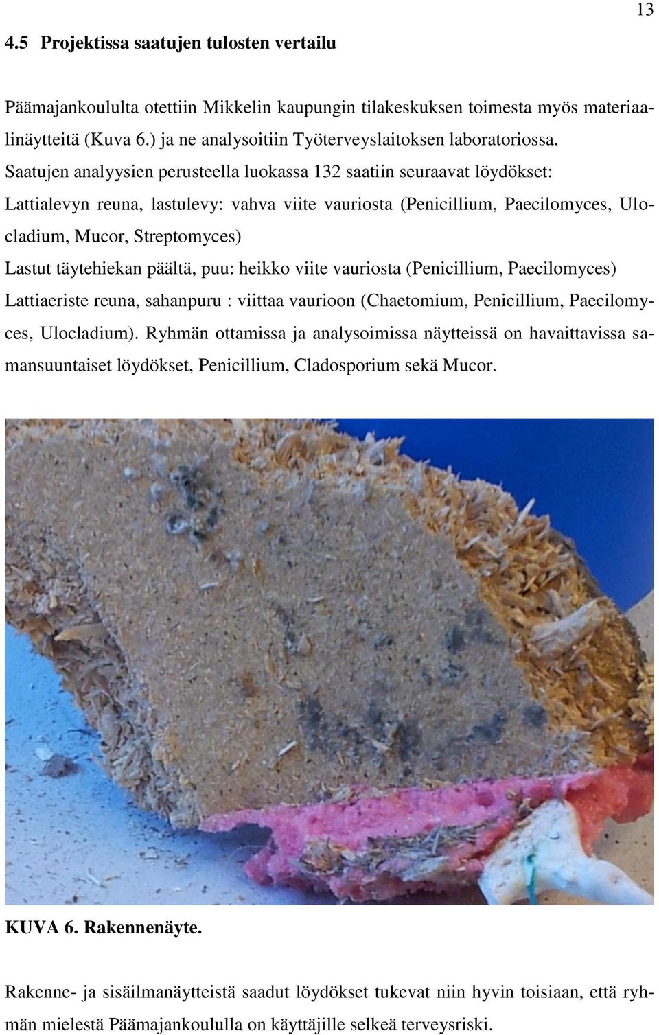 Saatujen analyysien perusteella luokassa 132 saatiin seuraavat löydökset: Lattialevyn reuna, lastulevy: vahva viite vauriosta (Penicillium, Paecilomyces, Ulocladium, Mucor, Streptomyces) Lastut
