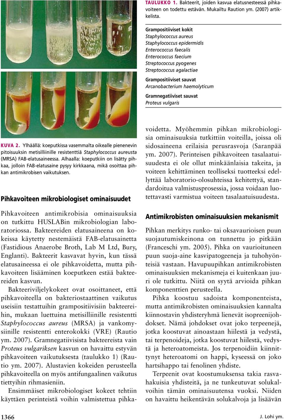 Arcanobacterium haemolyticum Gramnegatiiviset sauvat Proteus vulgaris Kuva 2.