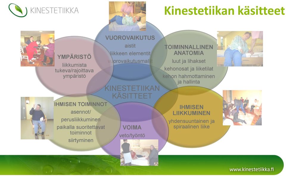 vuorovaikutusmallit KINESTETIIKAN KÄSITTEET VOIMA veto/työntö TOIMINNALLINEN ANATOMIA luut ja lihakset