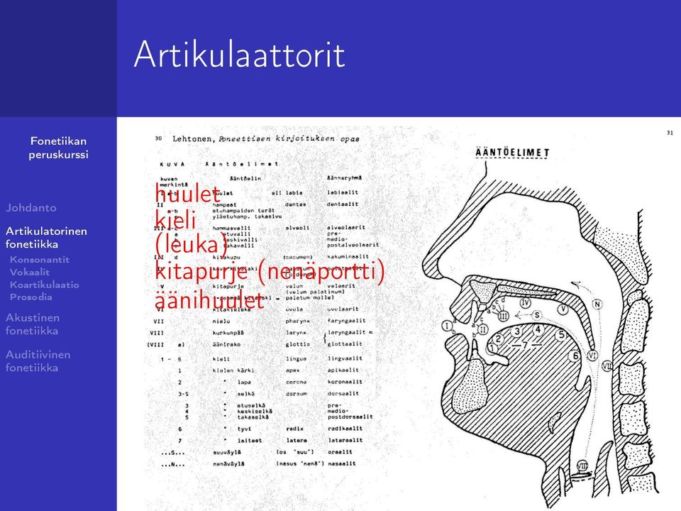 (leuka) kitapurje