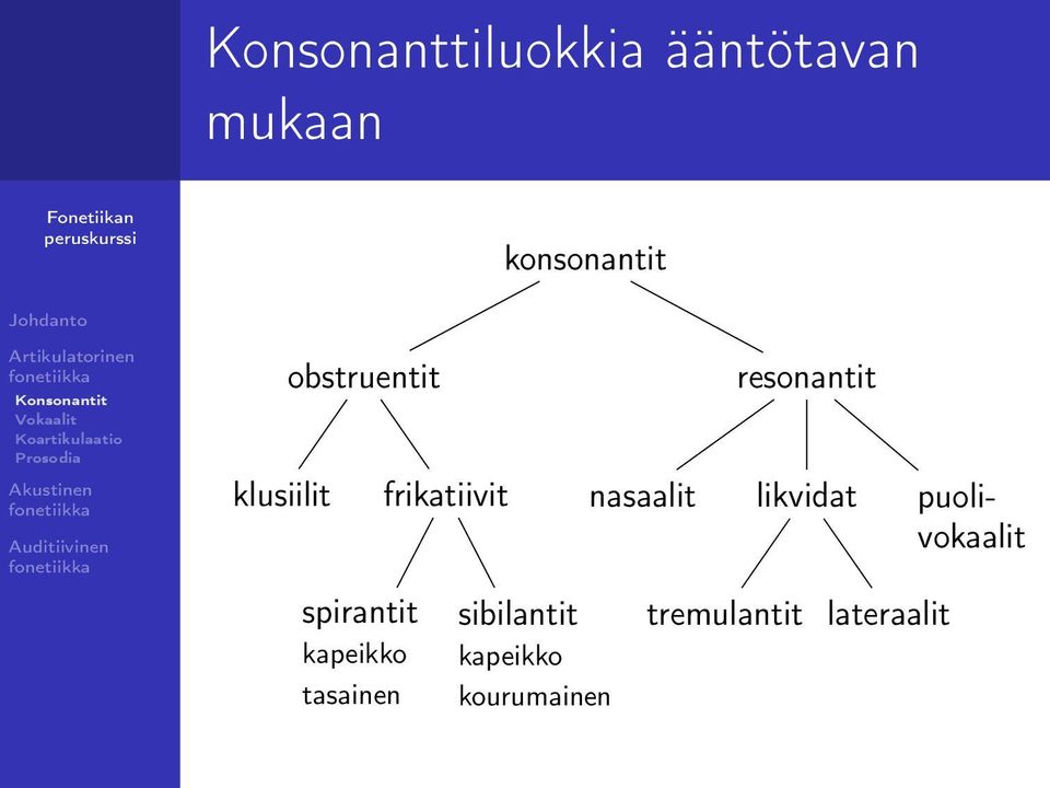 frikatiivit sibilantit kapeikko kourumainen