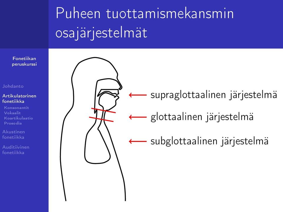 supraglottaalinen järjestelmä