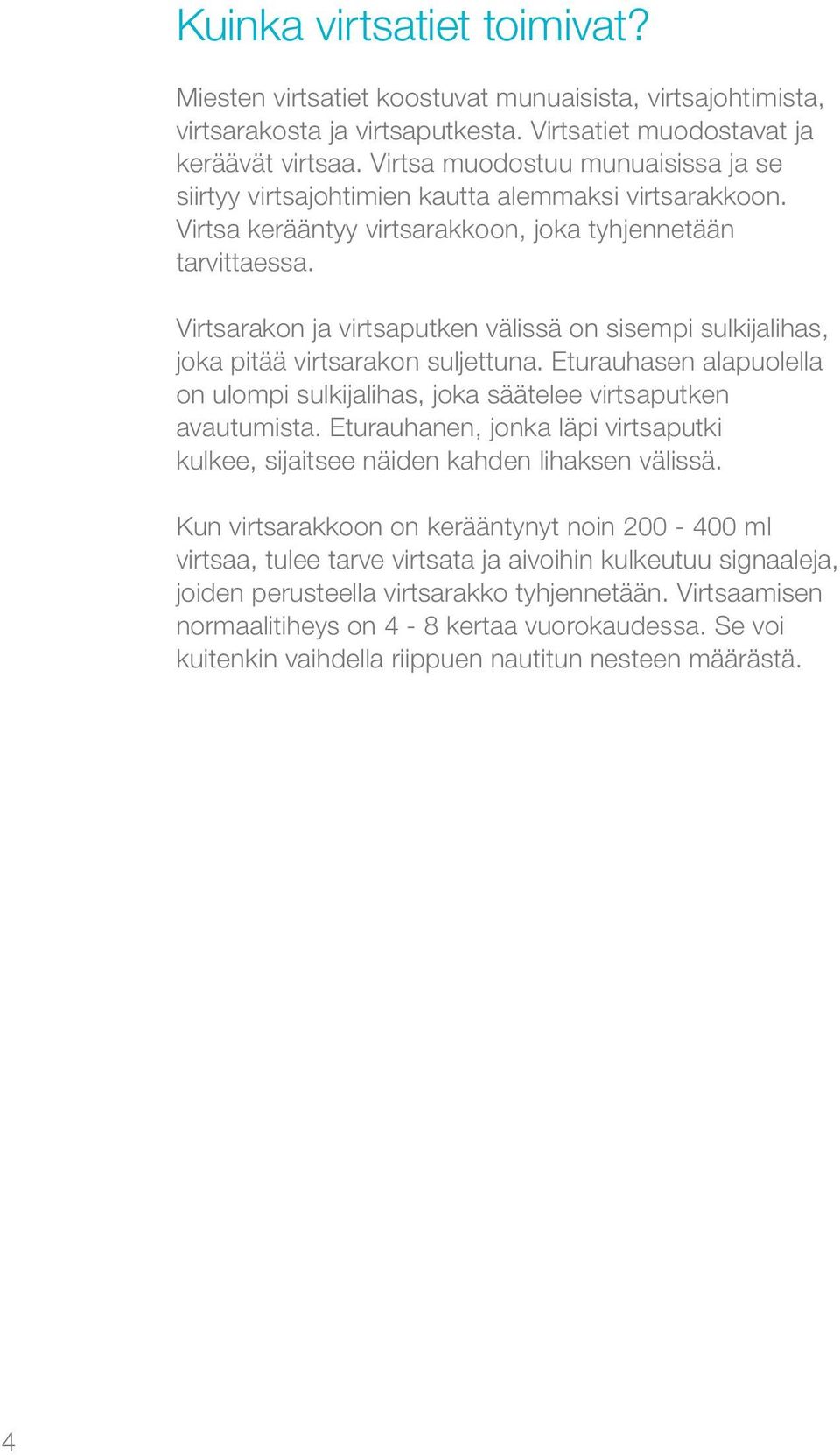 Virtsarakon ja virtsaputken välissä on sisempi sulkijalihas, joka pitää virtsarakon suljettuna. Eturauhasen alapuolella on ulompi sulkijalihas, joka säätelee virtsaputken avautumista.