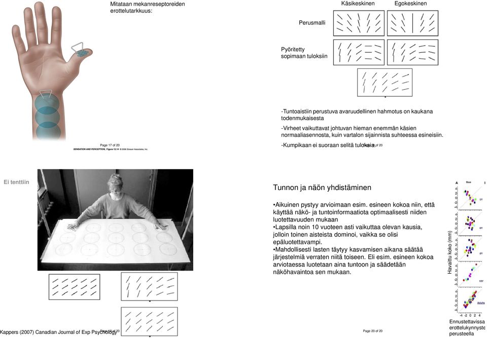 Page 19 of 20 Ei tenttiin Tunnon ja näön yhdistäminen Aikuinen pystyy arvioimaan esim.