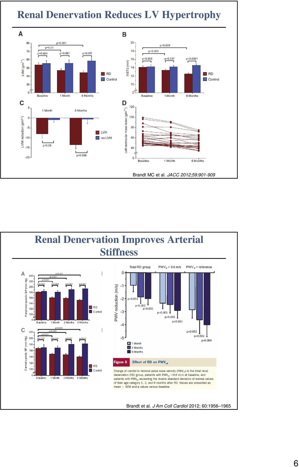 JACC 2012;59:901-909 Renal Denervation