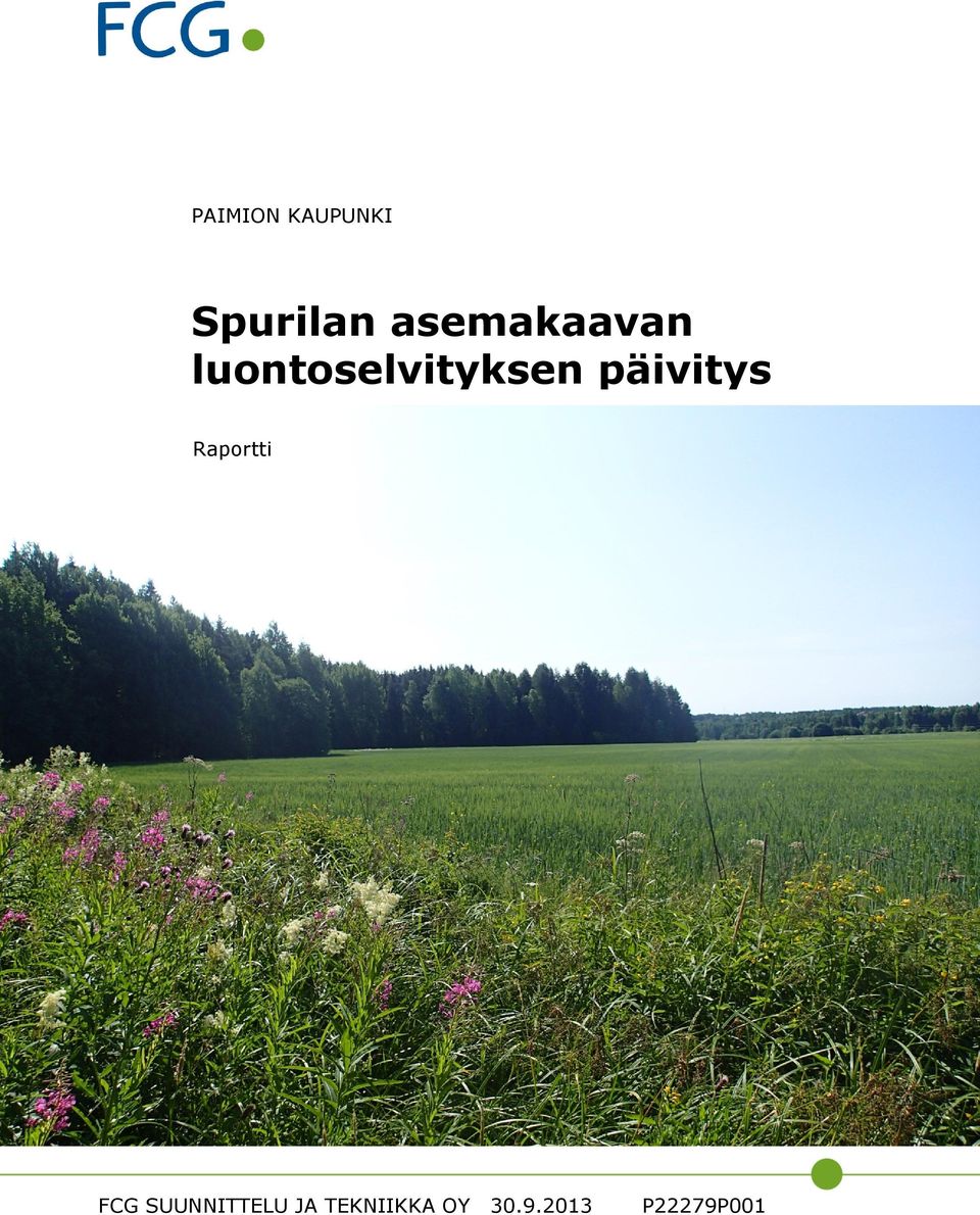 päivitys Raportti FCG