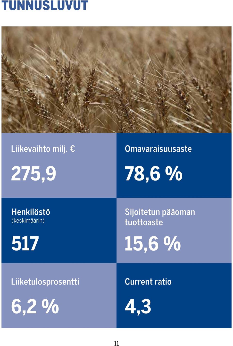 (keskimäärin) 517 Sijoitetun pääoman