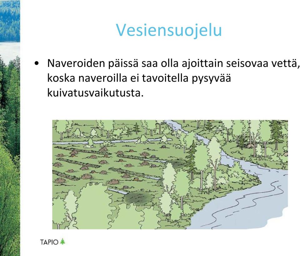 vettä, koska naveroilla ei