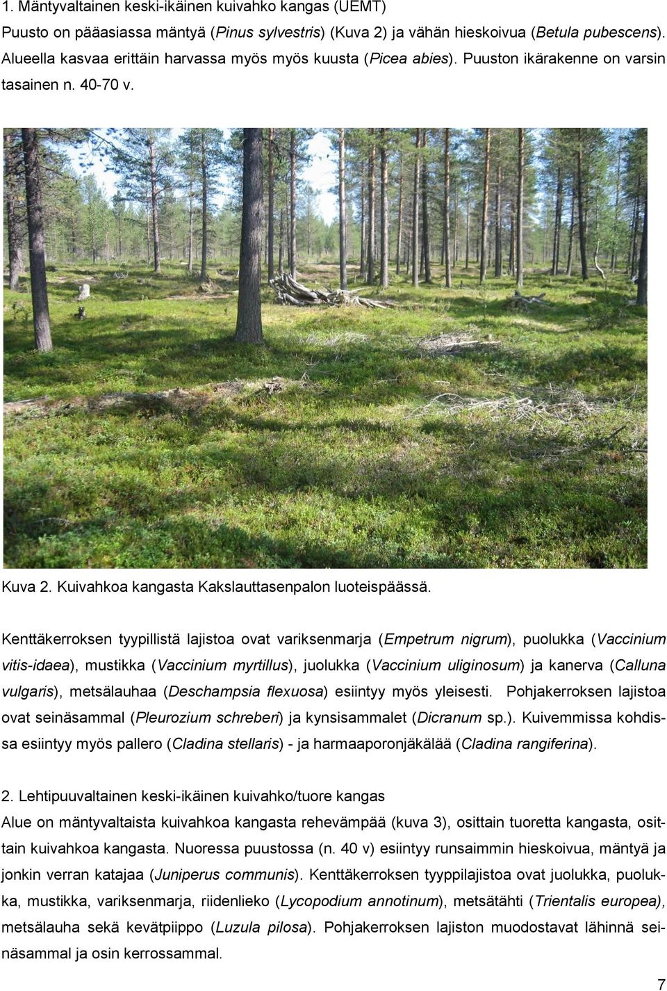 Kenttäkerroksen tyypillistä lajistoa ovat variksenmarja (Empetrum nigrum), puolukka (Vaccinium vitis-idaea), mustikka (Vaccinium myrtillus), juolukka (Vaccinium uliginosum) ja kanerva (Calluna