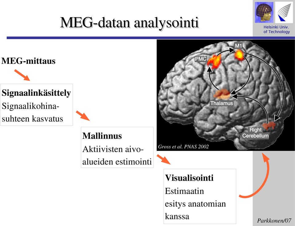 Mallinnus Aktiivisten aivo alueiden estimointi