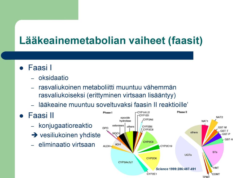 lisääntyy) lääkeaine muuntuu soveltuvaksi faasin II reaktioille Faasi II