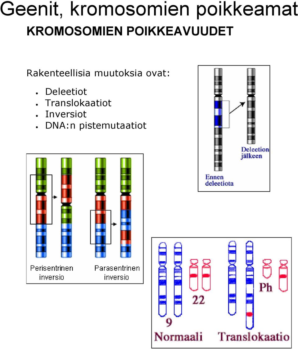 Rakenteellisia muutoksia ovat: