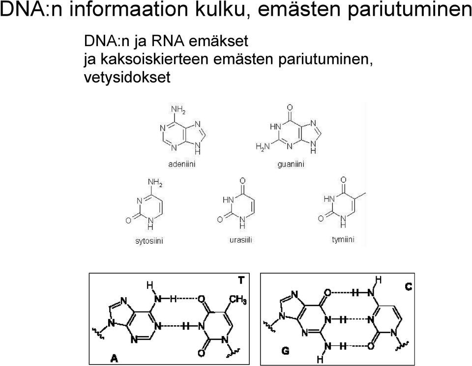 RNA emäkset ja kaksoiskierteen